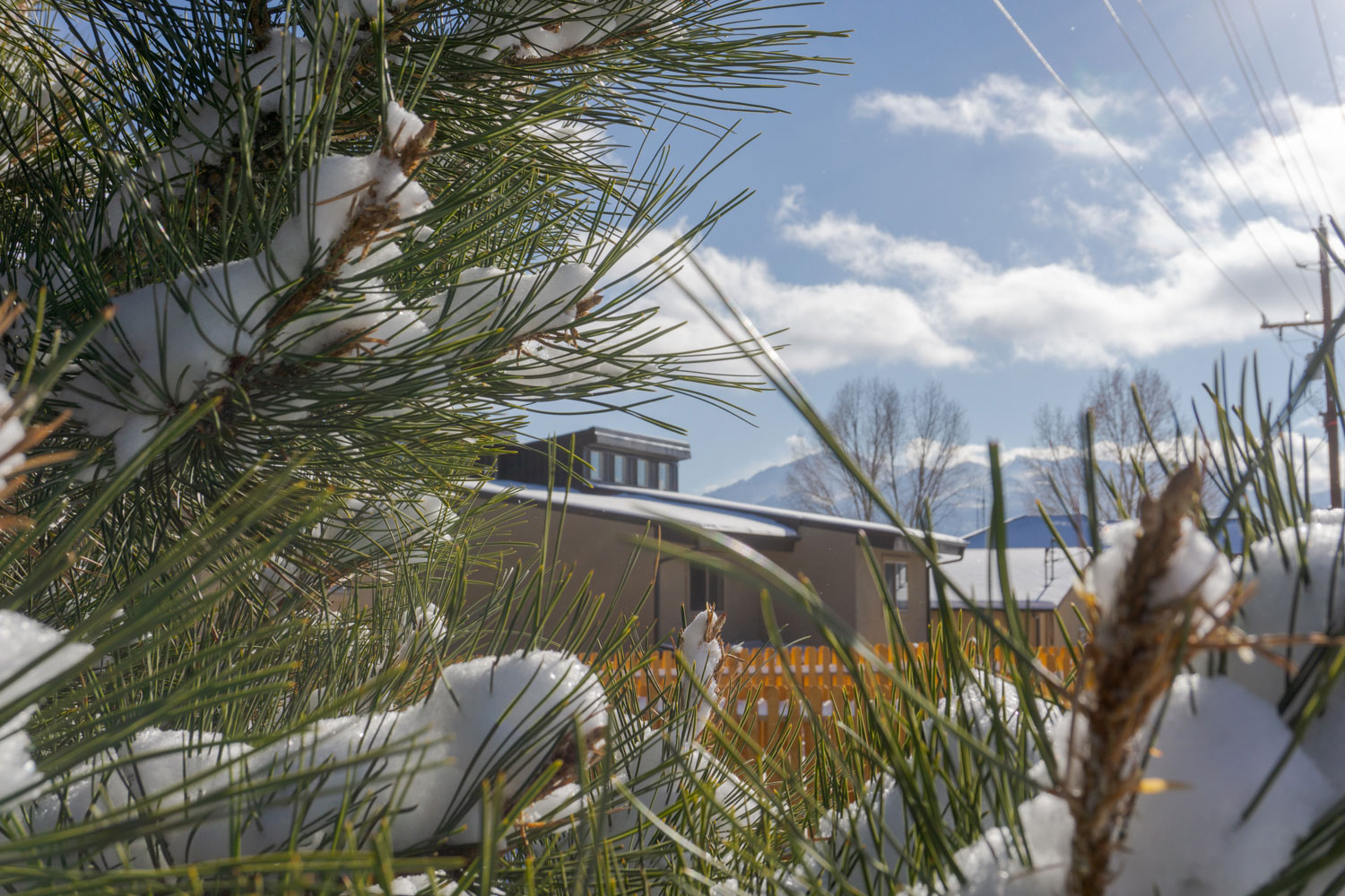 Peak View Townhomes in the snow in Woodland Park, CO