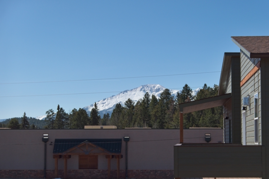 View of Pikes Peak from Spruce Meadow Grove