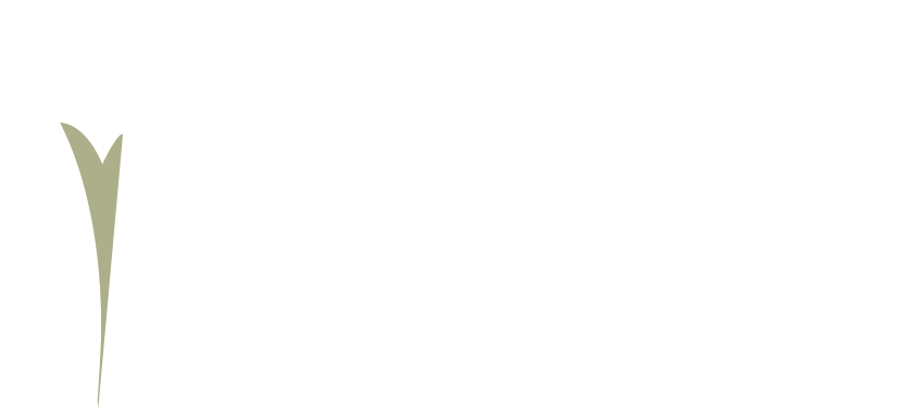 HopTree Homes white logo