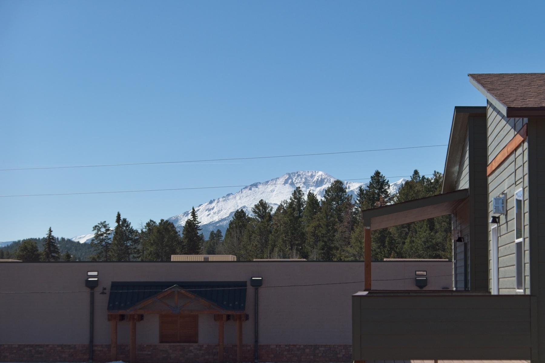 View of Pikes Peak from Spruce Meadow Grove
